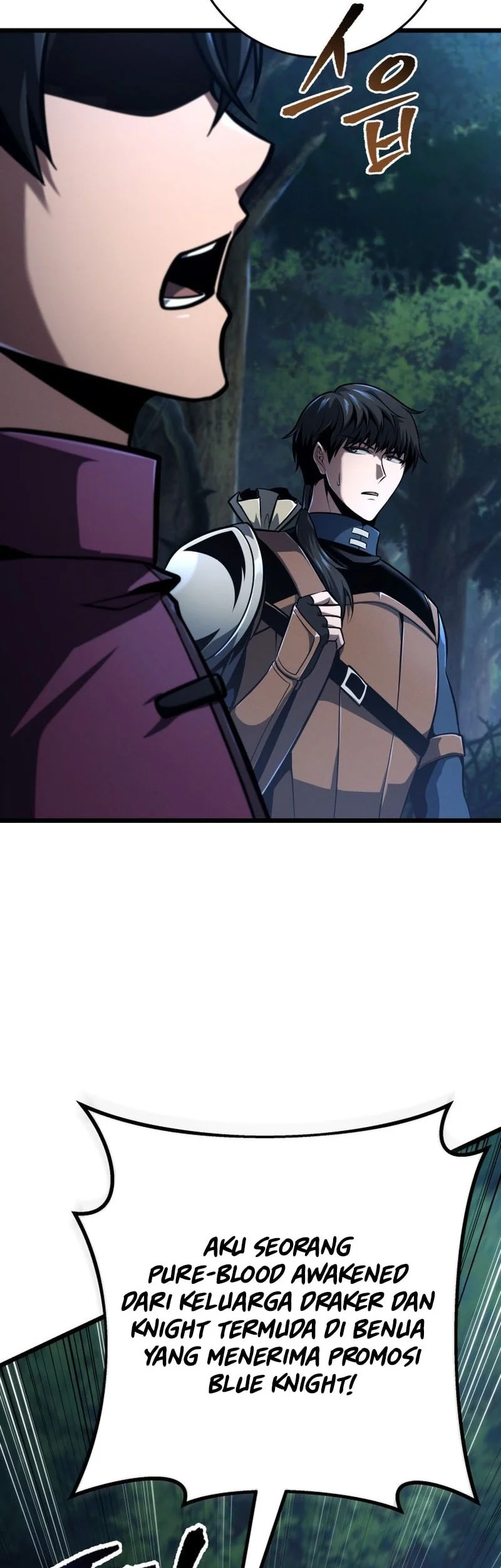 A Dragonslayer’s Peerless Regression Chapter 78 page 11