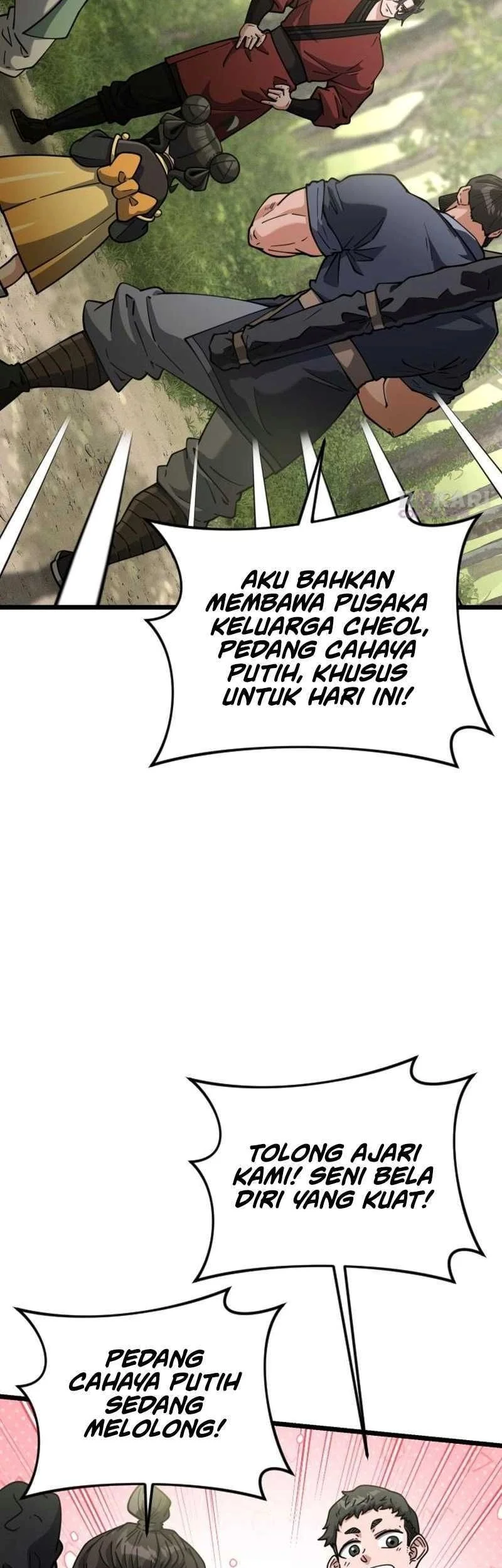 A Genius Girl Hides Her Martial Arts Achievements Chapter 26 page 47