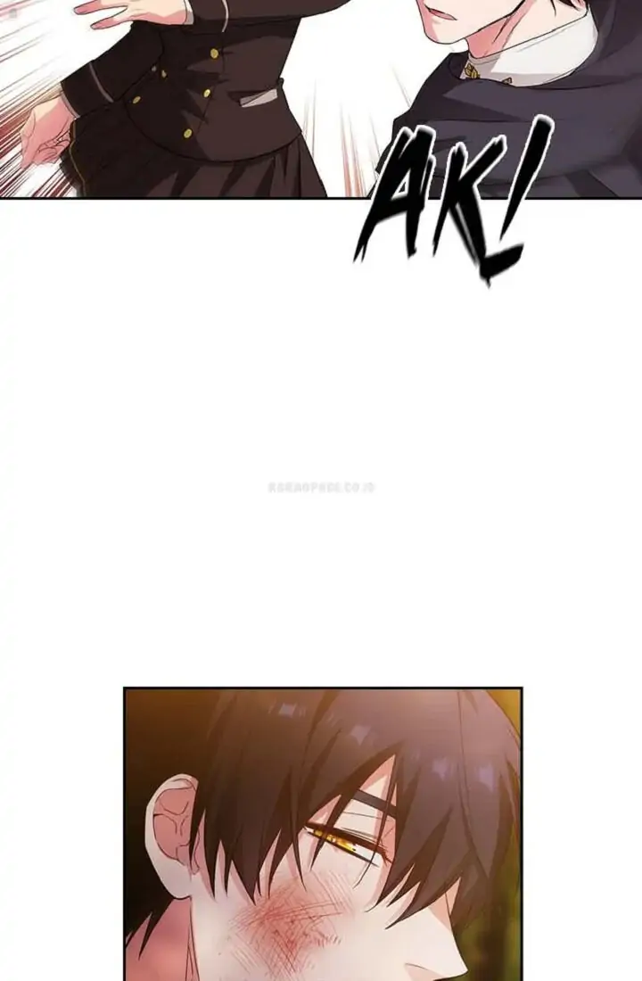 ADONIS Chapter 161 page 24