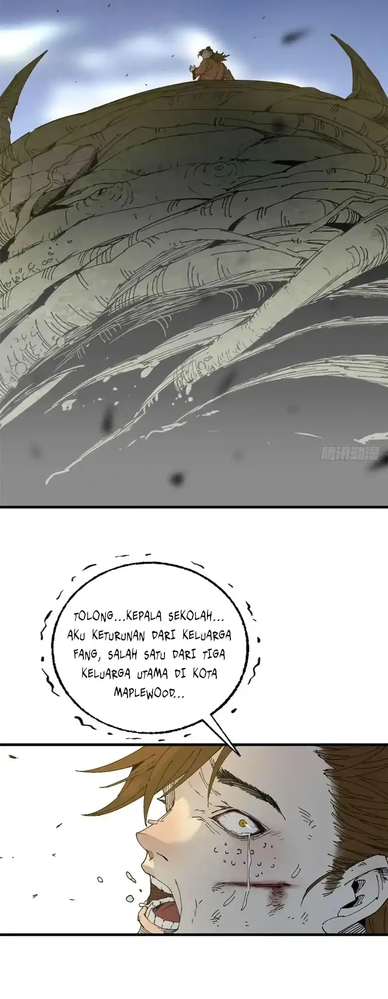 Crimson Heart Wanderer Chapter 9 page 16