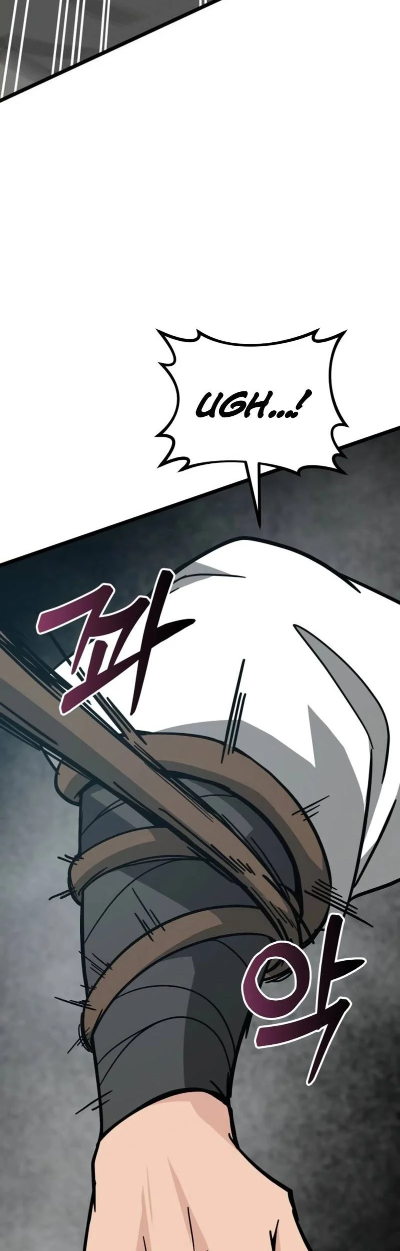Initializing the Sect System Chapter 11 page 63