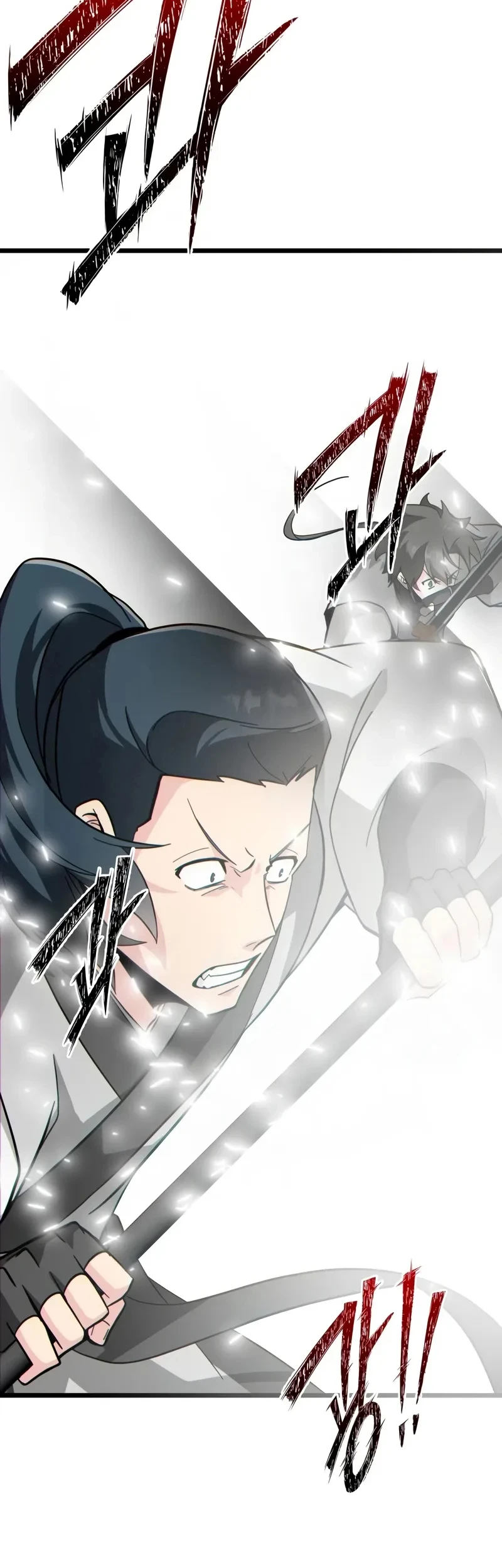 Initializing the Sect System Chapter 24 page 66