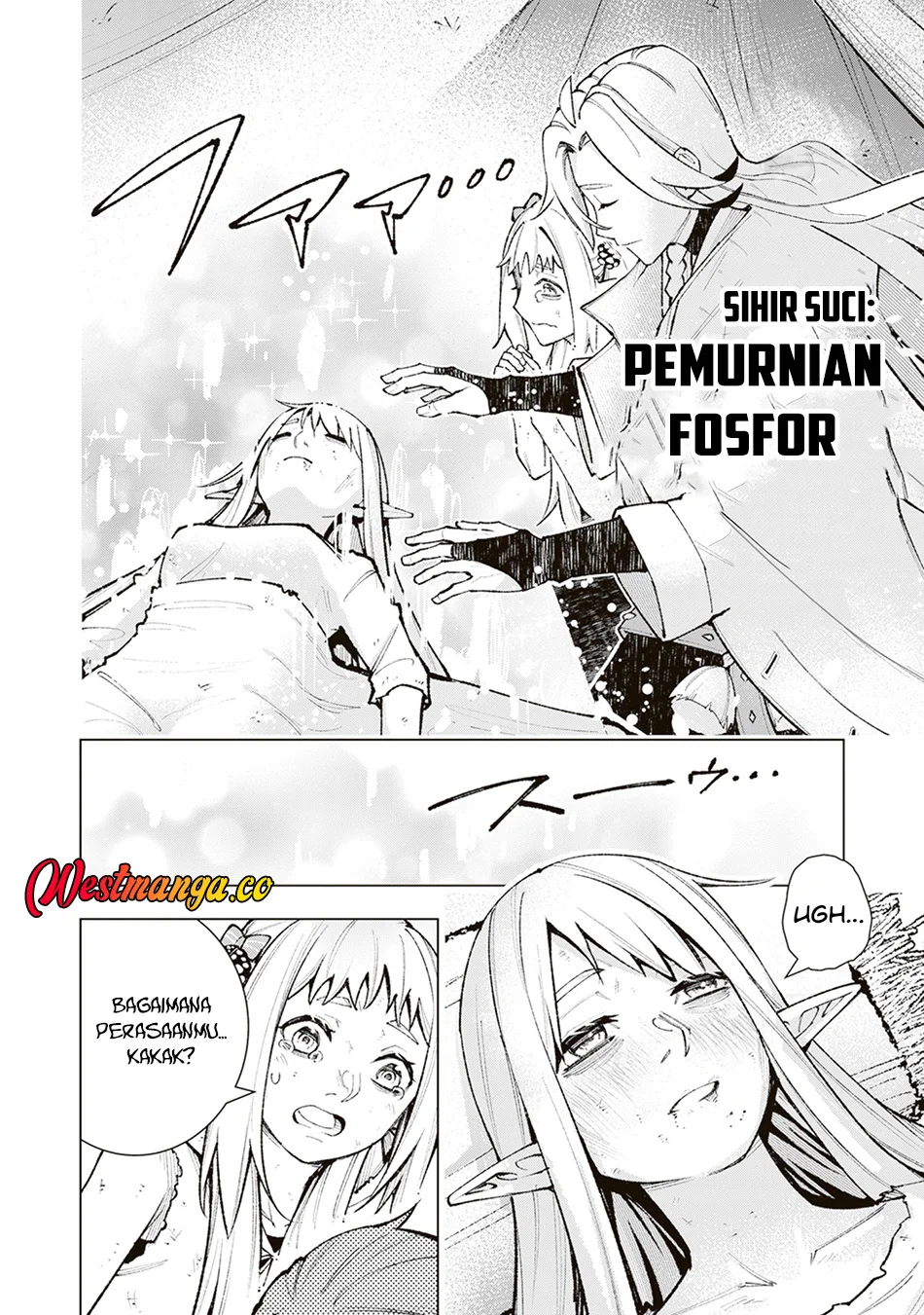 Level Count Stop kara Hajimaru, Kamisama-teki Isekai Life: Saikyou Status ni Tensei Shita node Suki~ Chapter 4 page 13