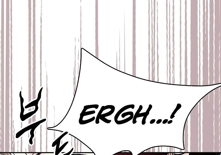 Memoir Of The King Of War Chapter 142 page 17