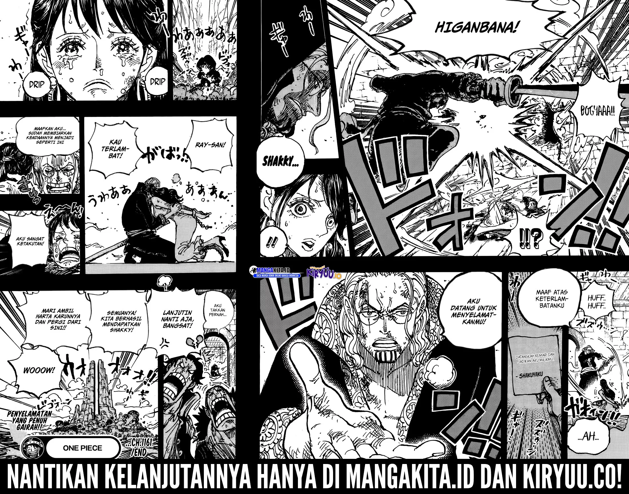 One Piece Chapter 1161 page 16
