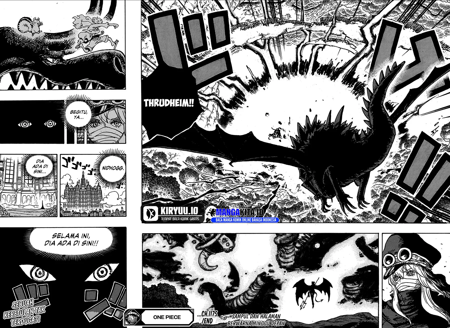 One Piece Chapter 1175 page 12
