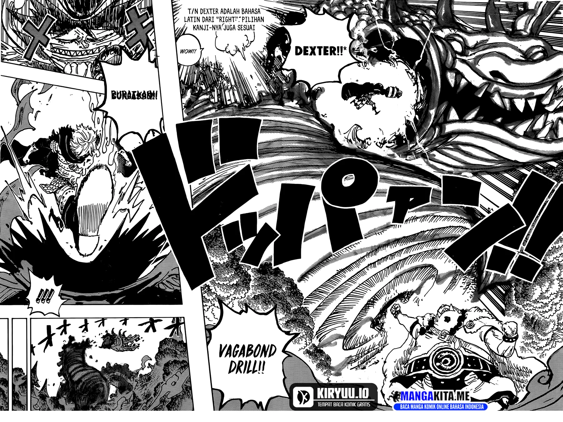 One Piece Chapter 1176 page 13