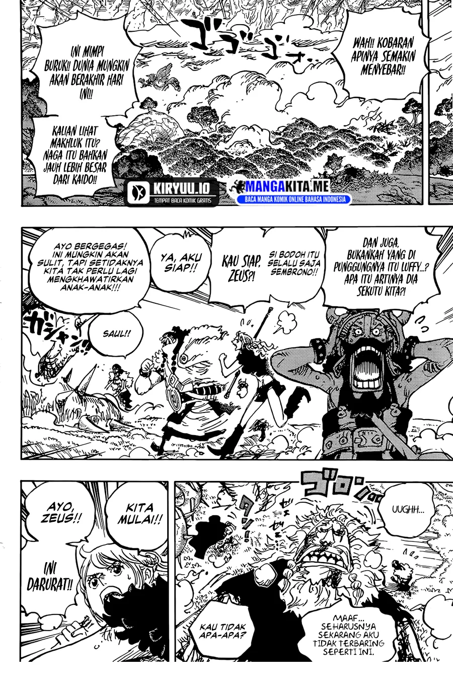 One Piece Chapter 1176 page 5
