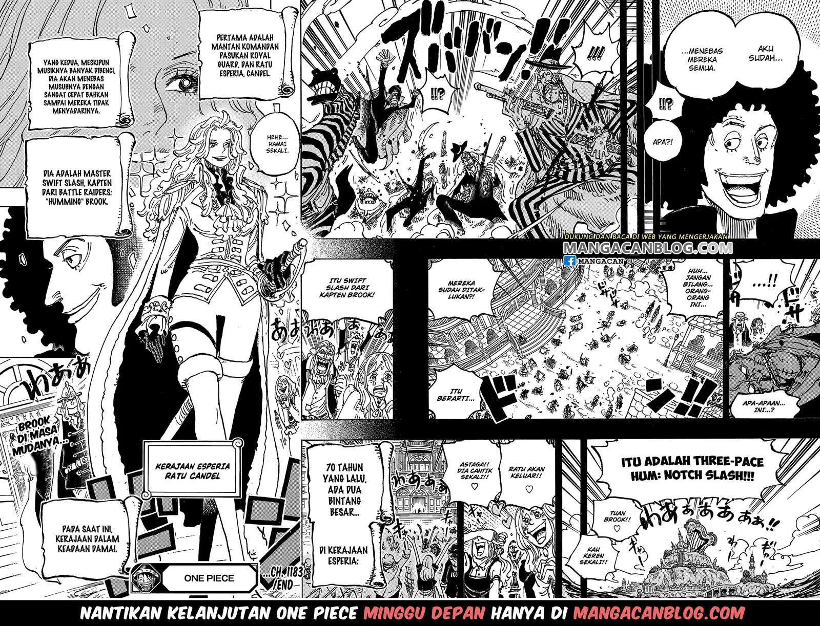 One Piece Chapter 1183 page 15