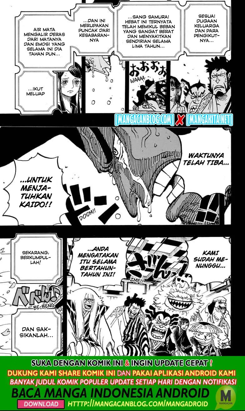 One Piece Chapter 969.5 page 14