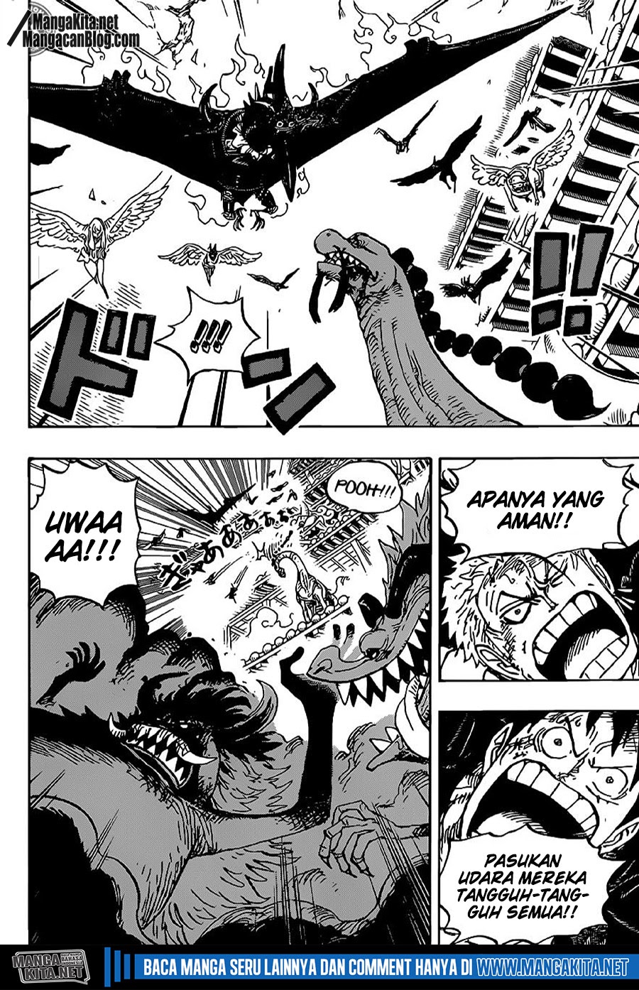 One Piece Chapter 989.5 page 13