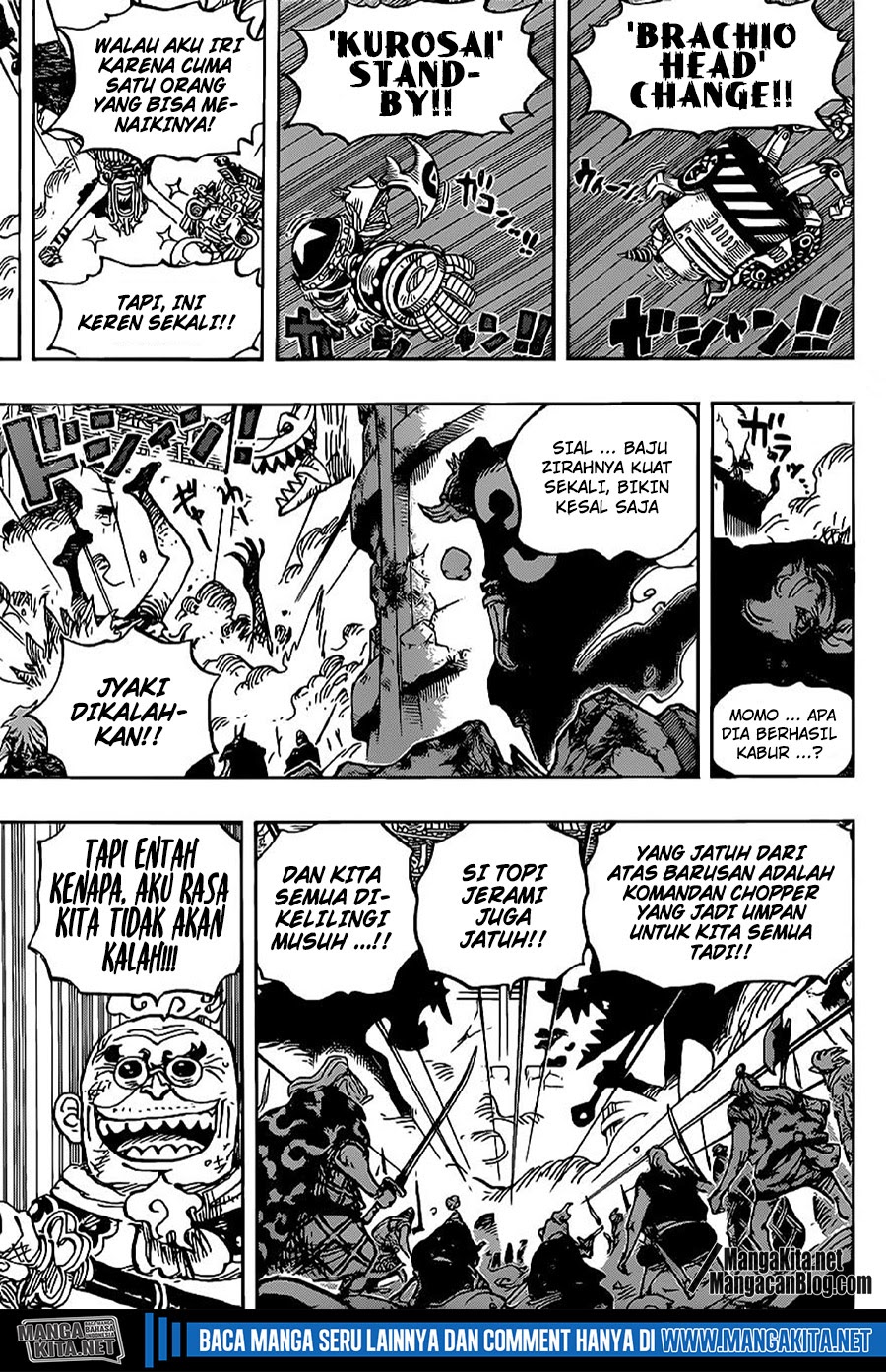 One Piece Chapter 989.5 page 14