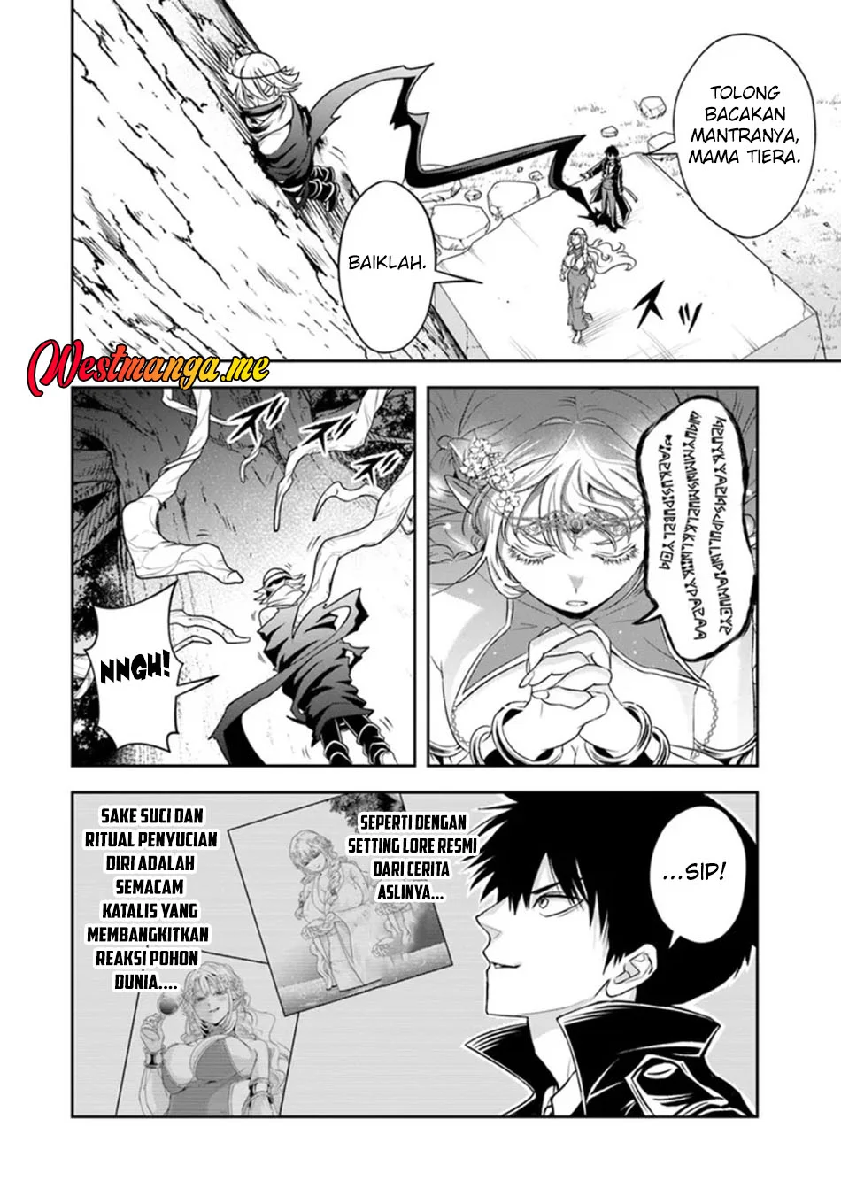 Sono Akuyaku Kizoku, Mama Heroine ga Suki Sugiru ~Shinshi na Doryoku de Saikyou to Nari Fuguu na~ Chapter 27.2 page 3