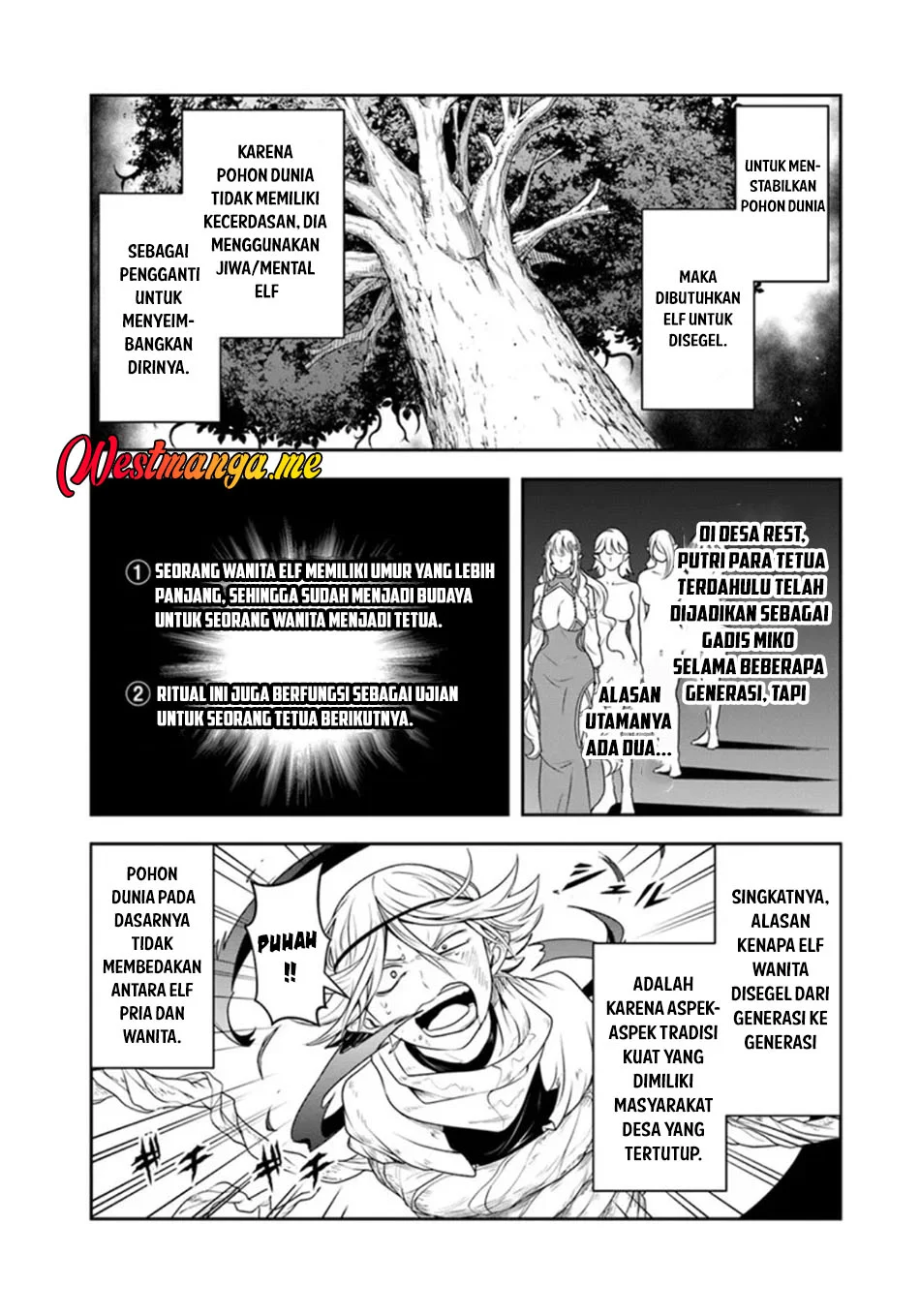 Sono Akuyaku Kizoku, Mama Heroine ga Suki Sugiru ~Shinshi na Doryoku de Saikyou to Nari Fuguu na~ Chapter 27.2 page 4