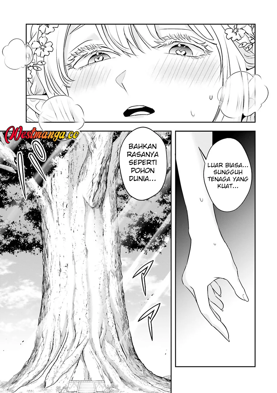 Sono Akuyaku Kizoku, Mama Heroine ga Suki Sugiru ~Shinshi na Doryoku de Saikyou to Nari Fuguu na~ Chapter 37.5 page 7
