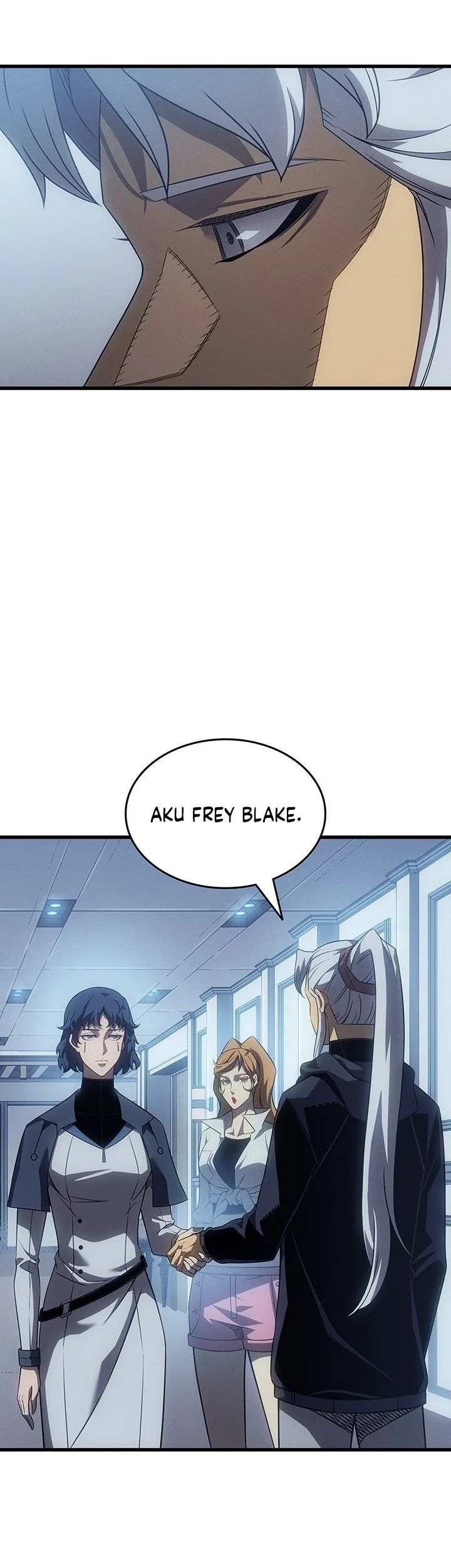 The Great Mage Returns After 4000 Years Chapter 250 page 46