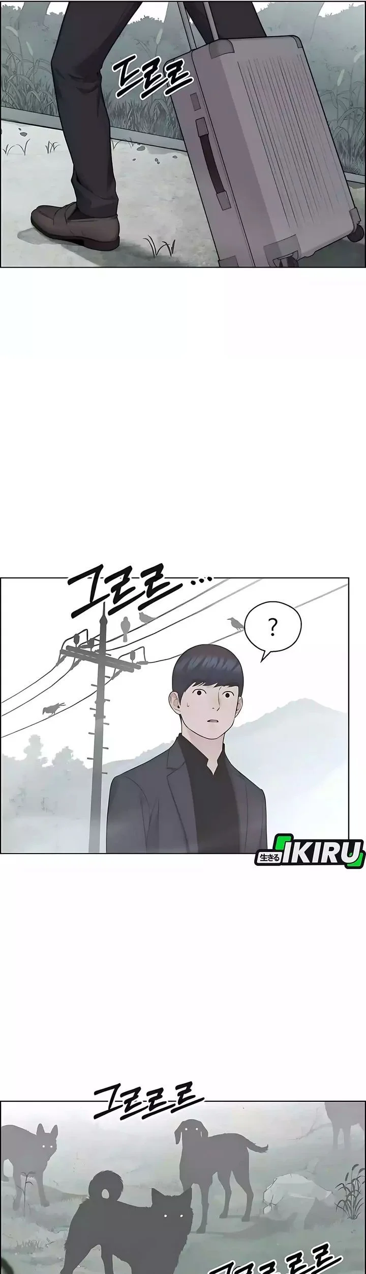 The Man Chapter 247 page 31