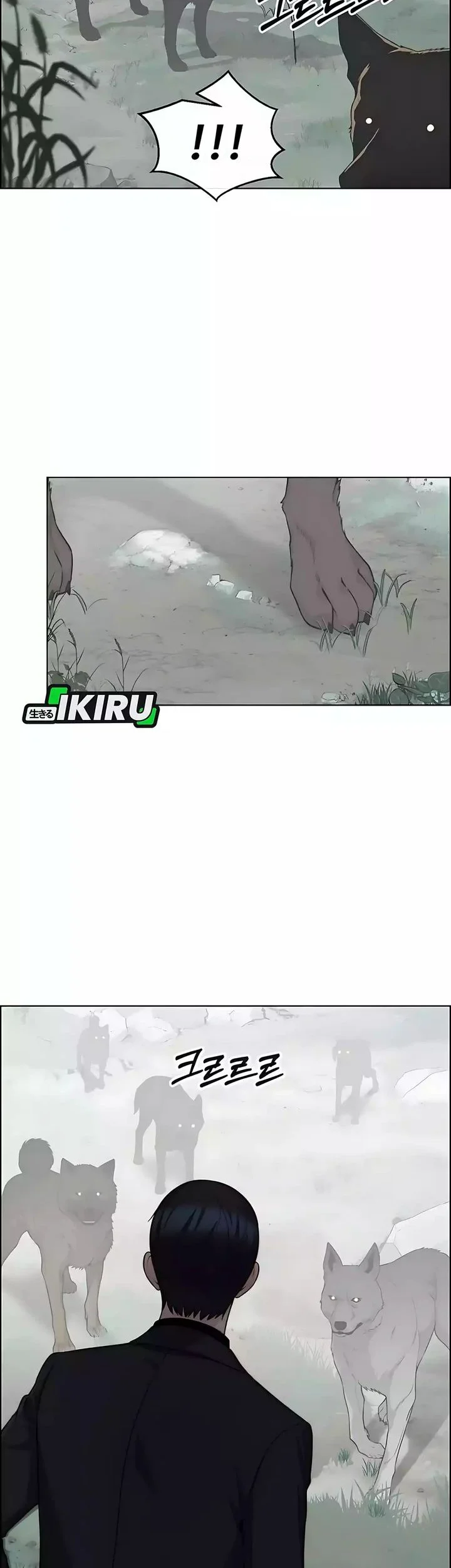 The Man Chapter 247 page 32