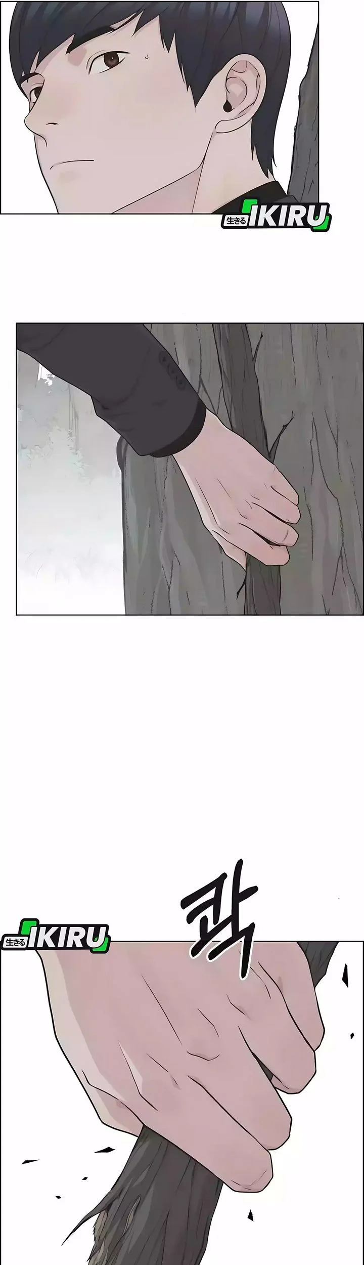 The Man Chapter 247 page 34