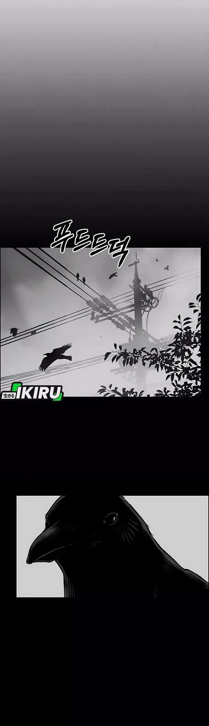 The Man Chapter 247 page 8