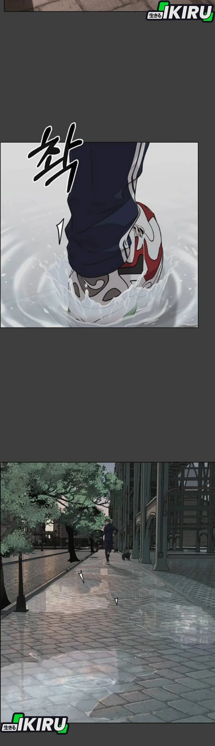 The Man Chapter 258 page 21