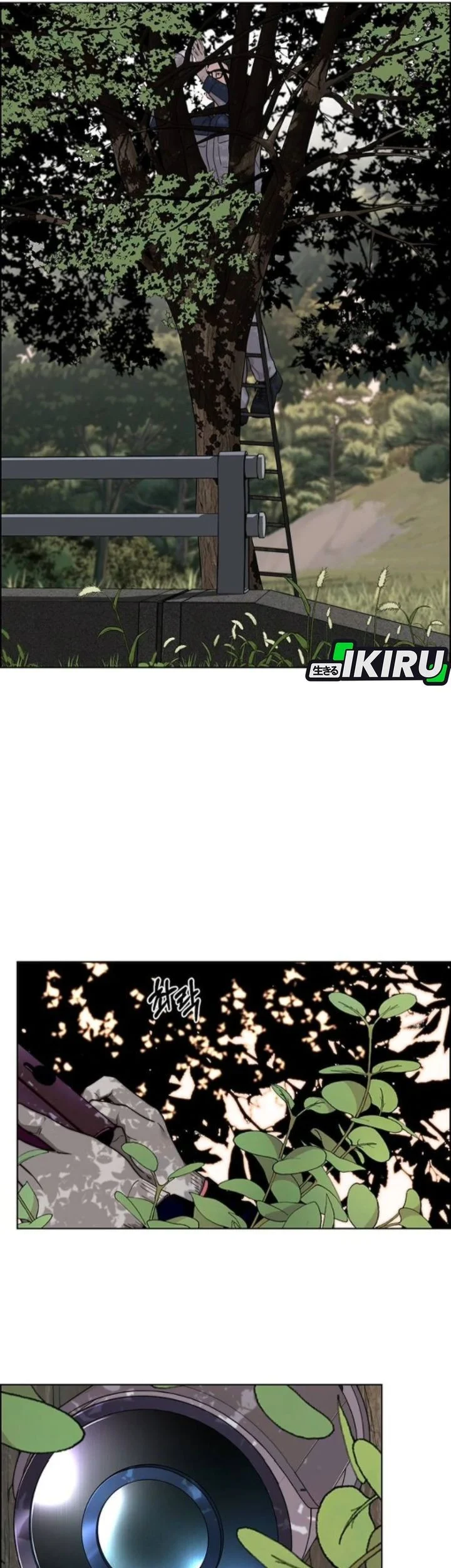 The Man Chapter 259 page 19