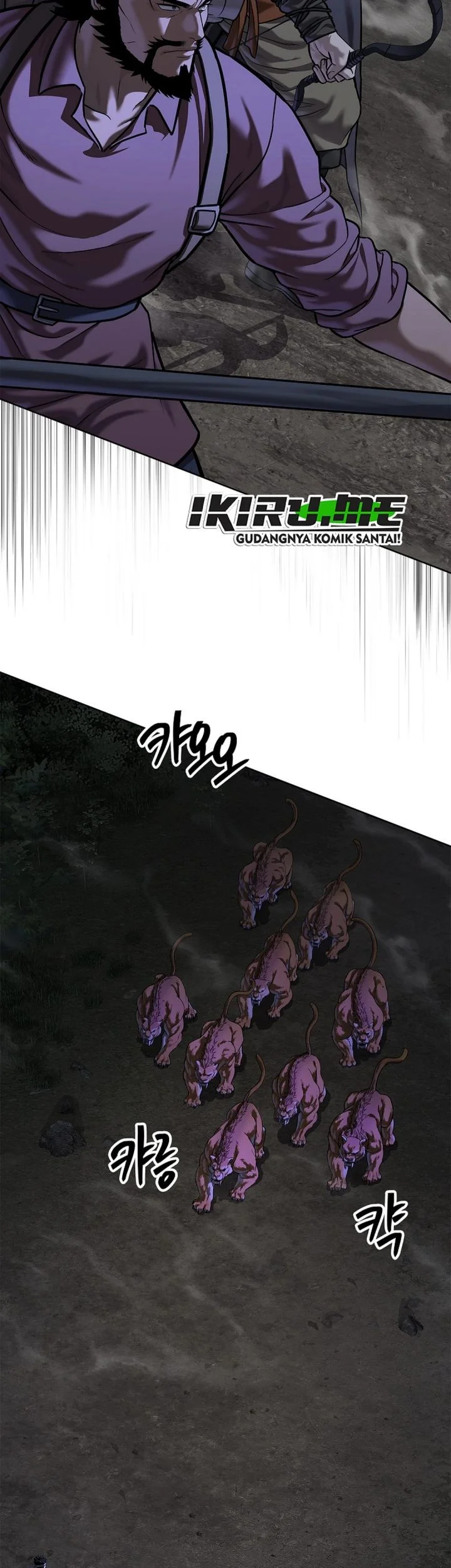 The Vehement Emperor of Steel Chapter 44 page 11