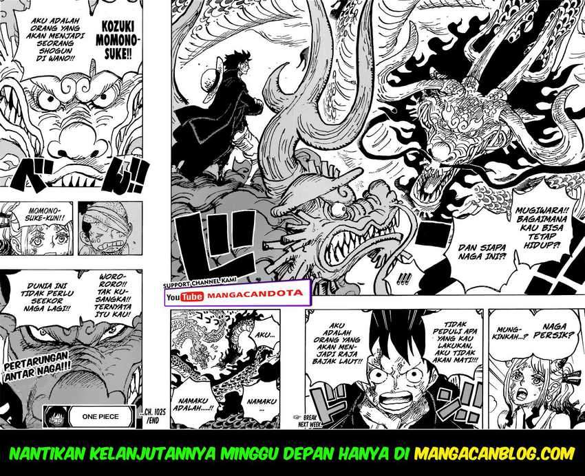 One Piece Chapter 1025 page 15