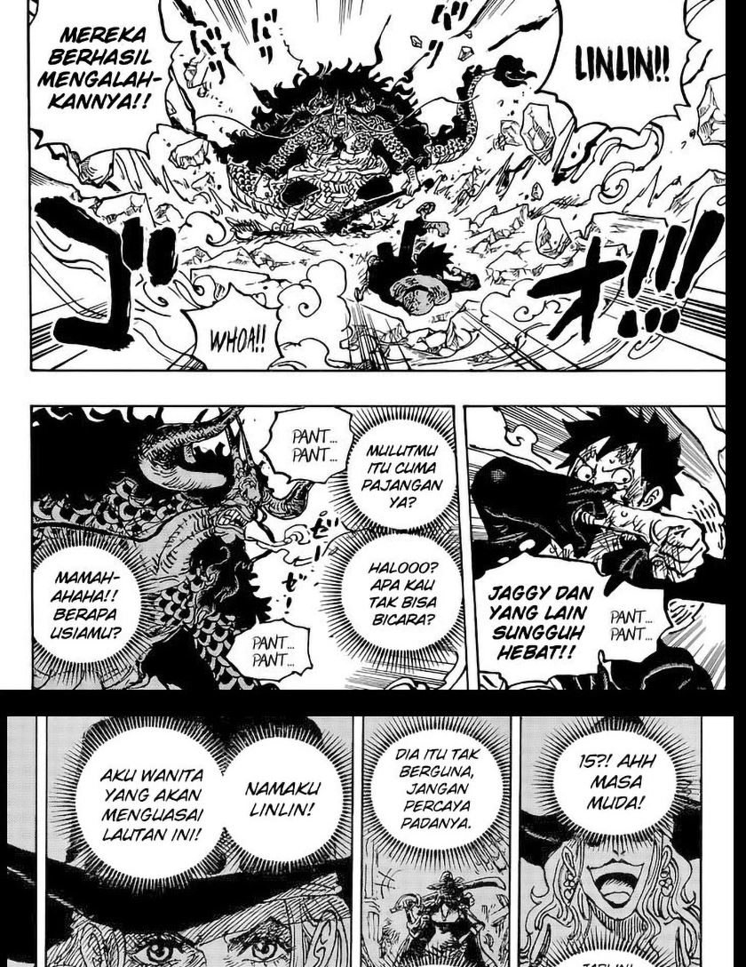 One Piece Chapter 1041 page 17