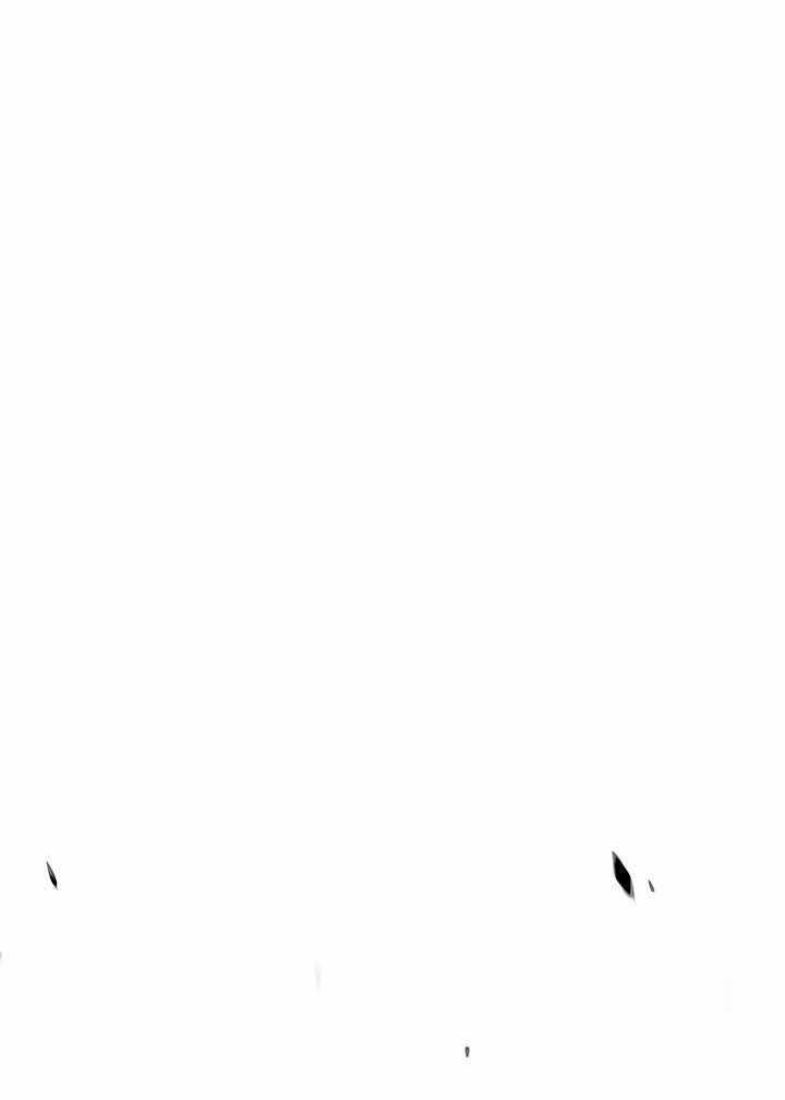 +99 Wooden Stick Chapter 19 page 57