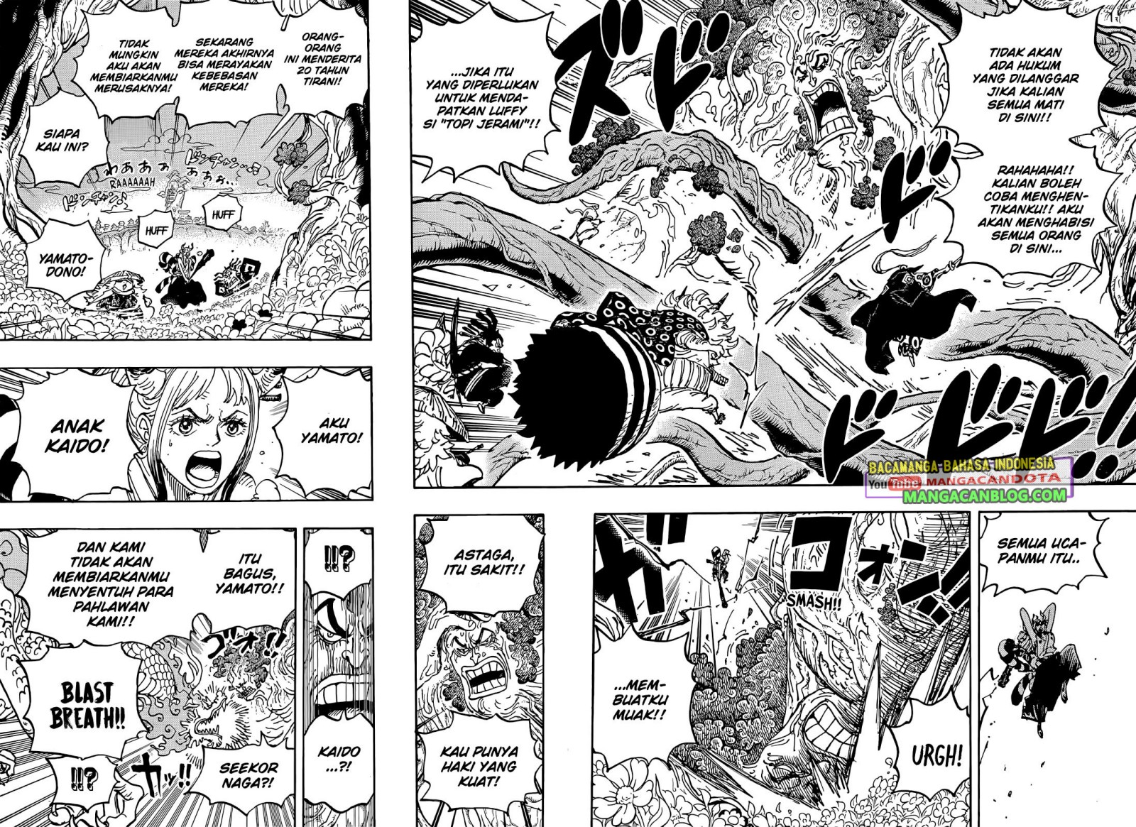 One Piece Chapter 1054 page 5