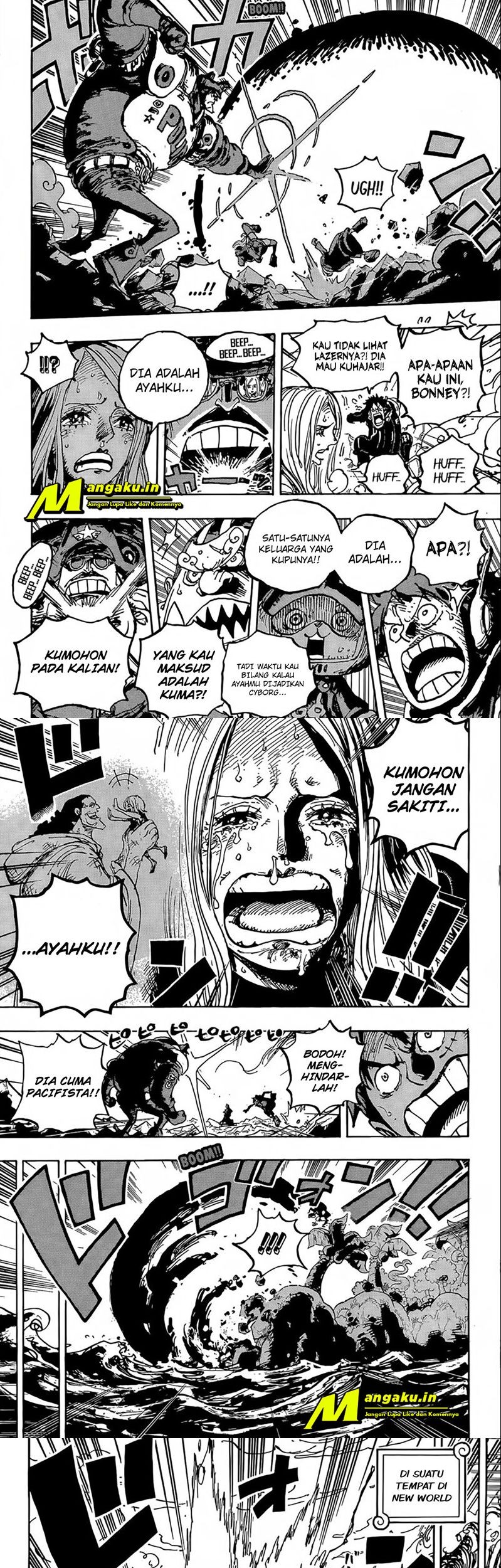 One Piece Chapter 1063 page 5