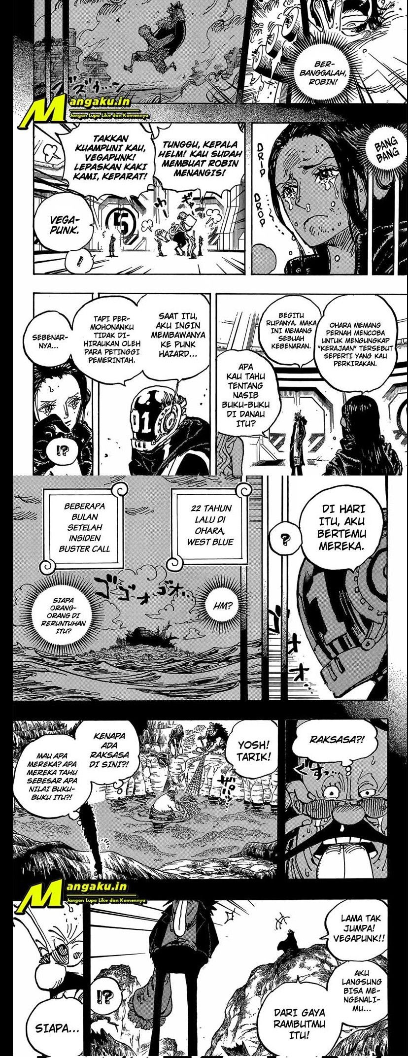One Piece Chapter 1066 page 5
