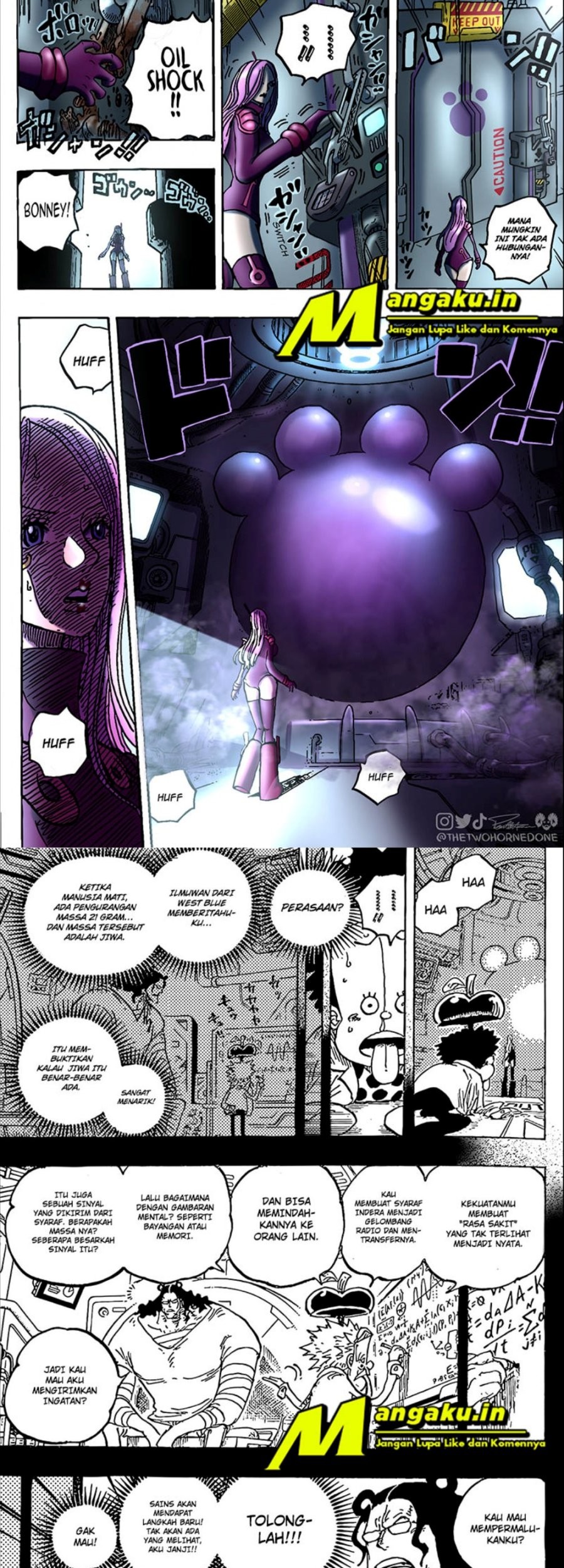 One Piece Chapter 1072 page 6