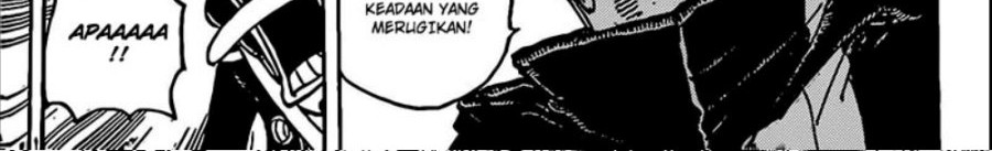 One Piece Chapter 1072 page 9