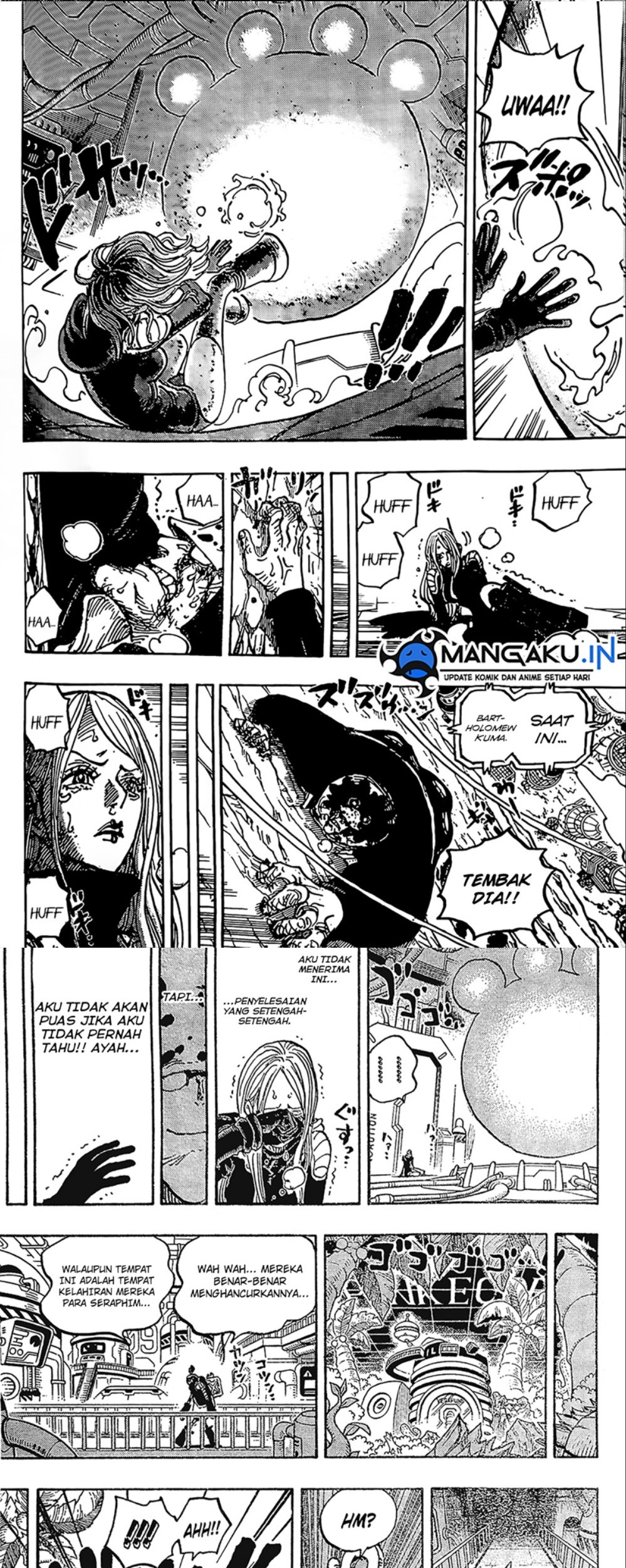 One Piece Chapter 1074 page 8
