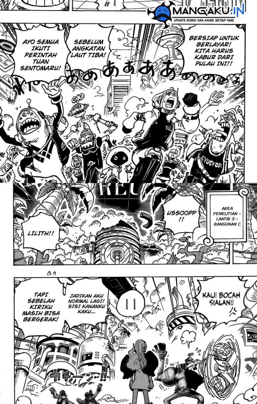 One Piece Chapter 1078 page 4