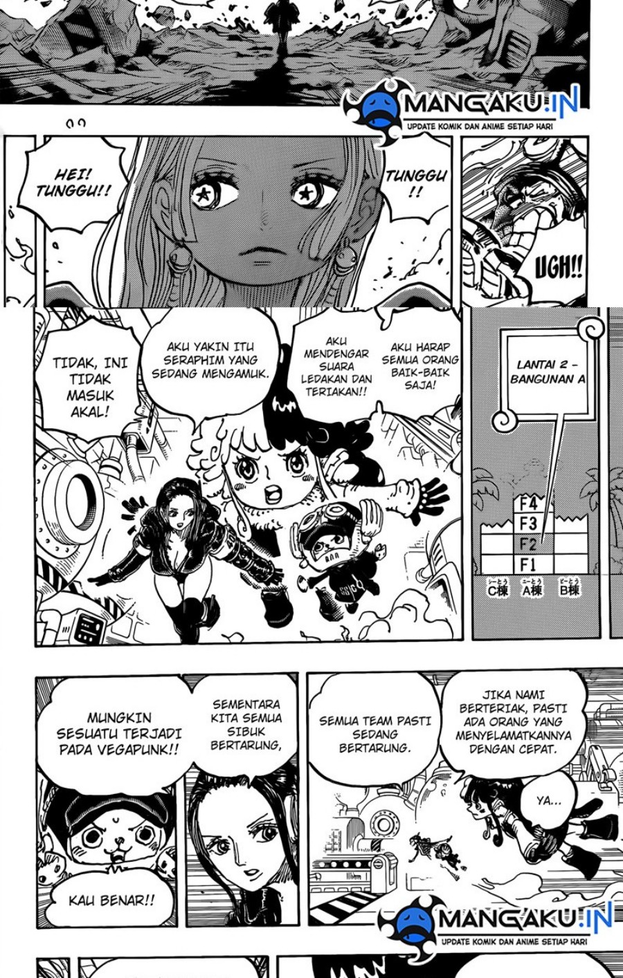 One Piece Chapter 1078 page 6
