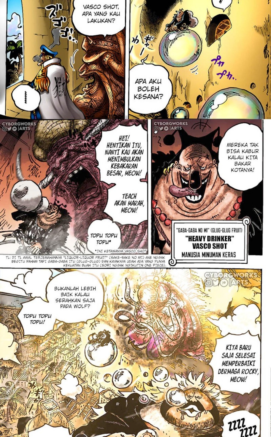 One Piece Chapter 1080 page 5