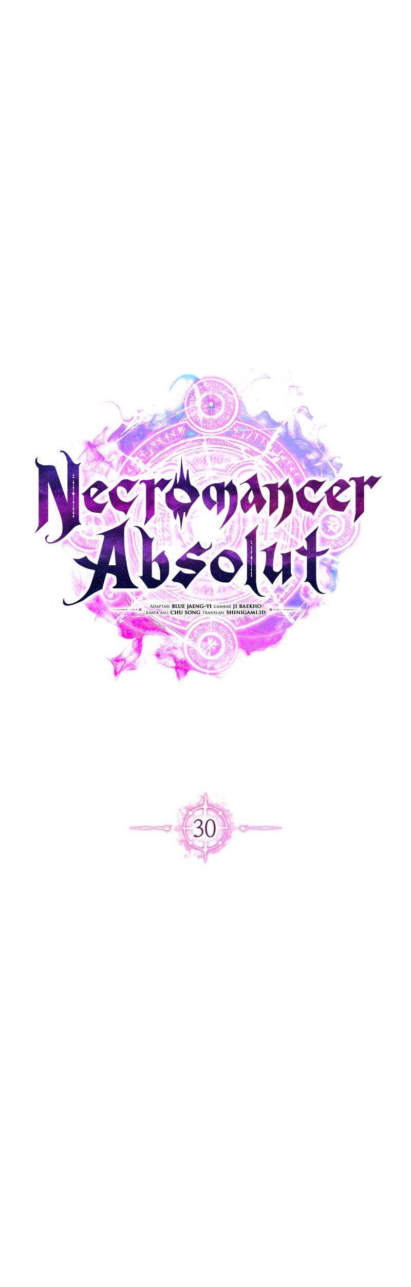 Absolute Necromancer Chapter 30 page 17