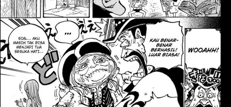 One Piece Chapter 1099 page 17
