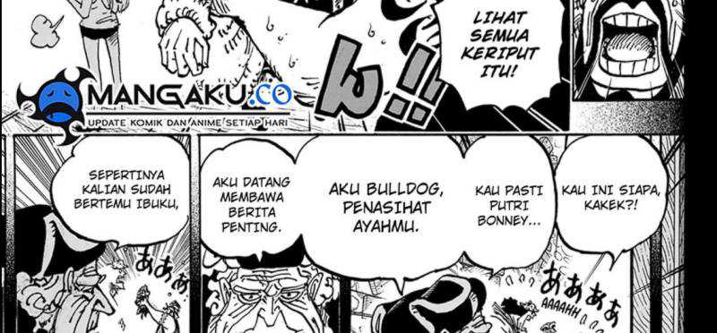 One Piece Chapter 1099 page 18