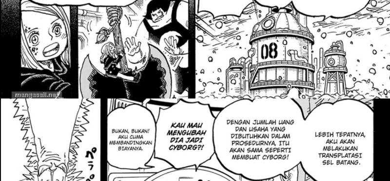 One Piece Chapter 1099 page 41