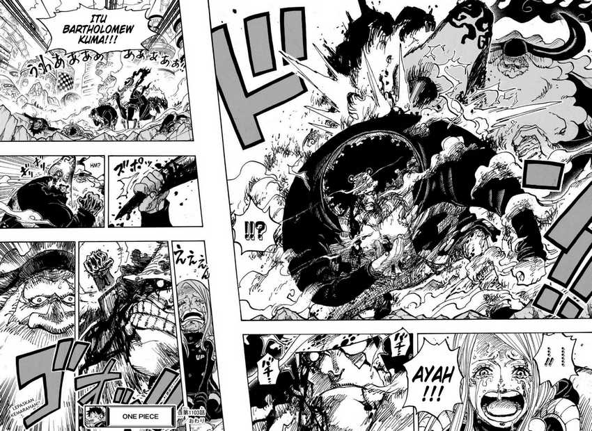 One Piece Chapter 1103 page 14