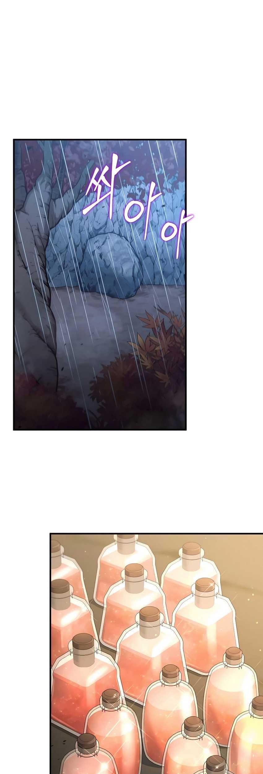 How to Live as an Illegal Healer Chapter 42 page 52