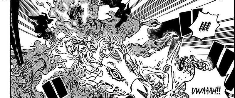 One Piece Chapter 1113 page 24