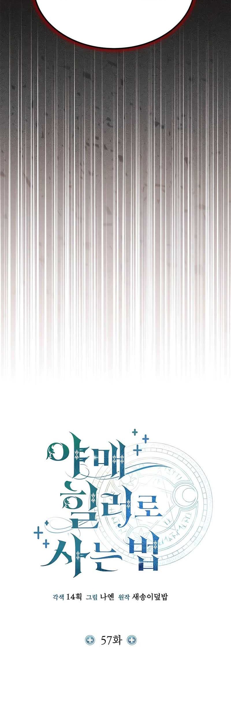 How to Live as an Illegal Healer Chapter 57 page 17