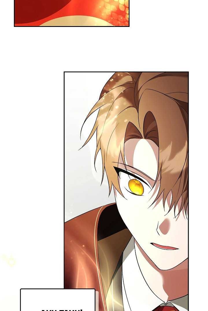 Academy’s Genius Tamer Chapter 17 page 27