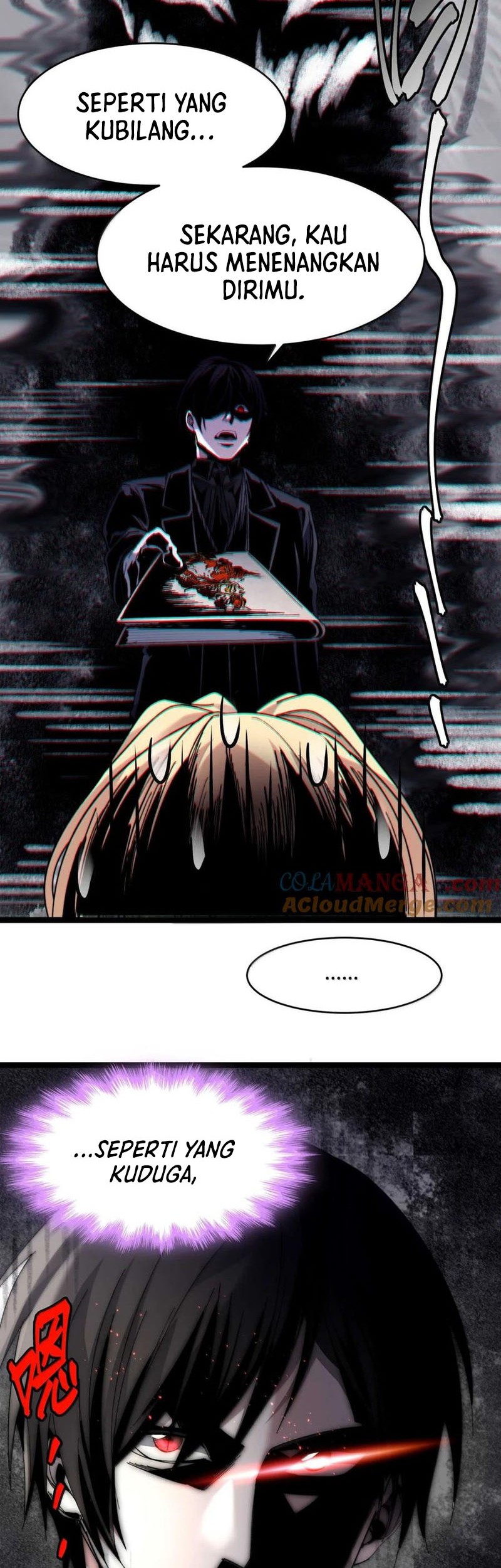I’m Really Not The Demon God’s Lackey Chapter 148 page 9