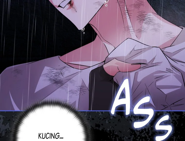 ADONIS Chapter 250 page 164